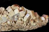 Vanadinite Crystal Cluster (XL Crystals) - Morocco #42207-2
